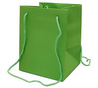 Lime Florist Hand Tied, Porto Bag, Flower, Plant, Gift Bag, 25cm x 19cm