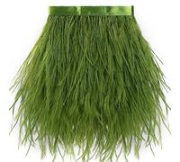 Lime Green Ostrich Feather Trim - 1.5Ply 4-5Inch 2Yards Feathers Fringe Trim for DIY Sewing Clothing,Halloween Home Party(1.5ply-Lime Green)