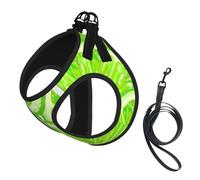Lime Green Pattern Lemon,Pet Harness,Adjustable Reflective Dog Harness,Pet Leash Vest,L