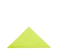 Lime Zest 2 Ply Lunch Napkin 33cm (1 x 2000)