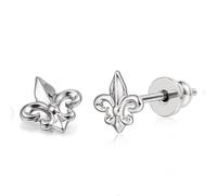 Limerencia Hypoallergenic Pure Titanium Earrings,G23 Implant Grade Small Cubic Zirconia Studs for Women's Sensitive Ears