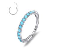 limerencia Nose Rings Hoop - 20G Titanium Turquoise Nose Ring for Women Men, Hinged Segment Septum Lip Rings Cartilage Conch Rook Helix Tragus Daith Earrings, Piercing Jewelry 6/8/10mm