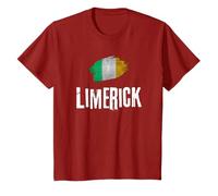 Limerick Ireland Flag Irish Heritage Vintage Souvenir T-Shirt