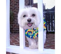 Limited Edition Puppy Bumpers Tie Dyed Bones (10-13")