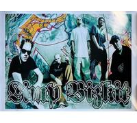 Limp Bizkit - Small Hole - Medium 64x88 cm Poster/