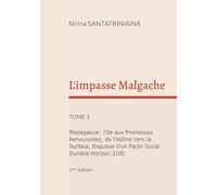 L'impasse Malgache: Madagascar, l'Ile aux Promesses Renouvelées, de l'Abîme Vers la Surface, Esquisse d'un Pacte Social Durable Horizon 2100