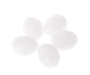 Limtula Artificial Bird Eggs White Parrots Eggs for Budgies | White Hatching Eggs and Green Ch or Cockatiel False Eggs for Parakeets and Birds