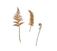 Limtula Artificial Fern Leaves Shaped Figurines Stake Rusted Statue Plant Sculpture Ideal For Spring Indoor/Outdoor Use Gardening Enthusiasts