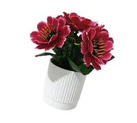 Limtula Artificial Flower Set with Pots Faux Gerbera Artificial Flower Decor, Fake Gerberas Plant Potted for Offices, Party Decors Faux Gerbera Decor