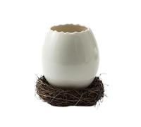 Limtula Ceramic Dessert Bowl Eggshell Form Serving Piece for Fruit Salad Home Table Display Accent Centerpiece Eggshell Bowl Ceramic Server White Decor Centerpiece Fruit Dessert Tabletop Display