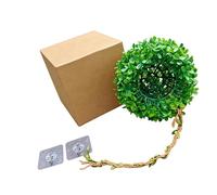 Limtula Hanging Grass Ball Hideaways Place for Reptiles Habitats and Jungle Theme Aquarium Terrarium Landscape Accessory Mosses Ball Habitat Decors