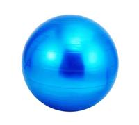 Limtula Large Inflatable Dog Toy for Backyard Fun Exercise Interactive Bladder Inflatable for Dogs with Bells for Pet