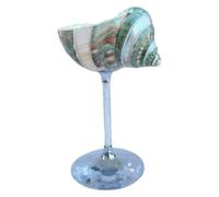 Limtula Natural Conch Shell Goblet, A | 2.4-3.4 Fl Oz Glass-Pedestal Cocktail Cup for Cold Drinks, Dining Table and Drink Station