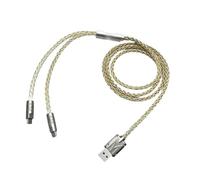 Limtula Type-C Routing Cable 1.3Meter for Home Desk Areas, Gold silver | Braided Split Construction, Metal Housings, and Flexible Accessory Links