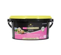 Lincoln All Inclusive Digestive Balancer -