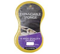 Lincoln Expandable Sponge Yellow (One Size)