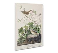 Lincoln Finch Birds By John James Audubon Canvas Print | Gallery Wrapped 30mm Frame Wall Art | 30x20 inches | Ready to Hang | Retro Bird Picture | Living Room Bedroom Lounge Office