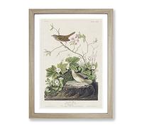 Lincoln Finch Birds By John James Audubon Vintage Framed Print | A3 Oak Framed Wall Art | Ready to Hang | Classic Nature Picture | Living Room Bedroom Lounge Office