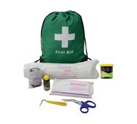 Lincoln First Aid Kit Green (One Size)