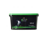 LINCOLN Herbs Mint PR-19590