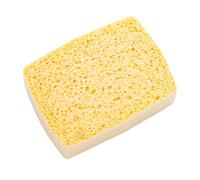 Lincoln Sponge - Rectangular Sponge