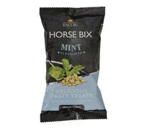 Lincoln Horse Bix Mint (One Size)