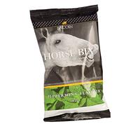 Lincoln Horse Bix Treats Mint 150g