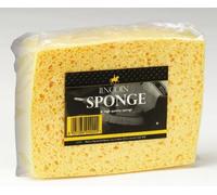 Lincoln Sponge