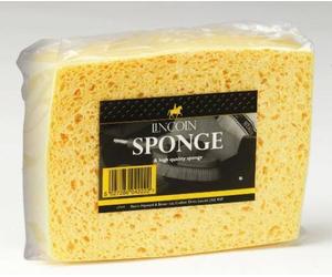 Lincoln Sponge - Rectangular Sponge