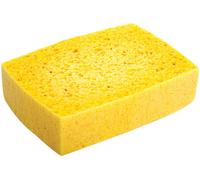 Lincoln Sponge - Single