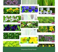 Lincolnshire Pond Plants Xxl - Premium Pond Starter & Top Up Pack - Bareroot With Compost And Pots - Marginal Aquatic Pond Plant