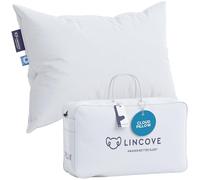 Lincove 100% Goose Down Luxury Sleeping Pillow - Enhance Your Sleep With The Ultra Soft Down Rãšvuer Bed Pillow 800 Fill Power 600 Thread Count (20"x30" Inches)