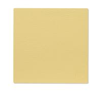 LIND DNA Hippo placemat square S gold