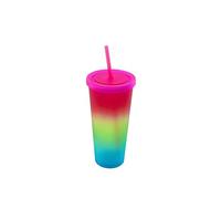 LINDACA 24oz/710ml Double Wall Gradient Colour Reusable Plastic Cups with Lid and Straw (Purple)