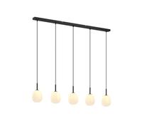 Lindby Ceiling Light Etiena dimmable (Modern) in Black Made of Glass for e.g. Living Room & Dining (5 Light Sources, G9) from Pendant Lighting lamp Hanging Ceiling