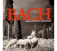 Linde Brunmayr-Tutz; Lars-Ulrik Mortensen; N Harnoncourt - Bach: Flute Sonatas & Partita BWV 1030