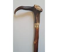 Linden Leisure Stag Horn Coronet Handle on a Chestnut Hiking Stave Pole Staff Walking Stick