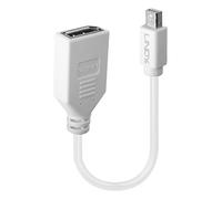 Lindy 0.20m Mini DisplayPort to DisplayPort Adapter Cable
