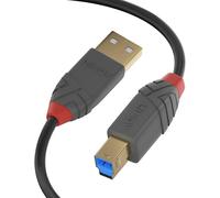 Lindy 0.5 Metre USB 3.2 Cable, USB-A Male To USB-B 3.0 Male Type B, Monitor Ups
