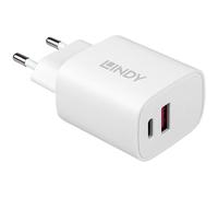 Lindy 73413 20W USB Type A & C Charger
