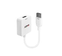 Lindy HDMI 1.4 to DisplayPort 1.1 Converter