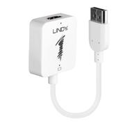 Lindy HDMI to DisplayPort 4K 30Hz Active Converter Adapter