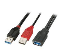 Lindy USB 3.0 DualPower 2xAM/AF 0,5m