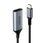 Lindy USB-C to DisplayPort 1.4 Converter, 8K 60Hz / 4K 144Hz, Supports HDR, Compatible with MacBook, Thunderbolt 3 & 4, High-Speed Video Adapter for Gaming & Video Editing, Black