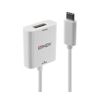 Lindy USB Type C to DisplayPort Adapter