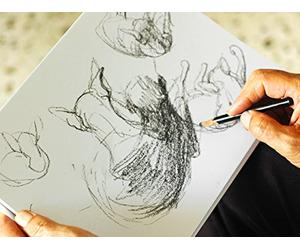 Line and Shape: Line Attributes and Gesture