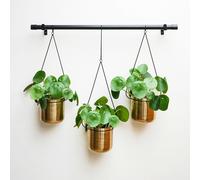 Linear Hanging Planters, Black and Gold Ivyline Black One Size