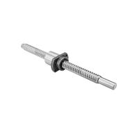 Linear Motion Ball Screw Machine Parts Machined Ball Screw SFE2020 C7 Roller Ballscrew With The Nut For CNC Parts(350mm)