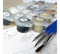 LINEPARK Canvas or Paint or Frame for Paint by Numbers Accessories for PBN