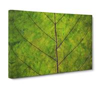 Lines of the Leaf Canvas Print | Gallery Wrapped 30mm Frame Wall Art | 30x20 inches | Ready to Hang | Abstract Floral Picture | Living Room Bedroom Lounge Office